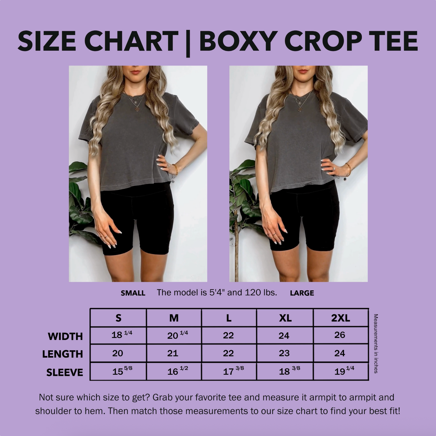 Arirang Boxy Crop Tee
